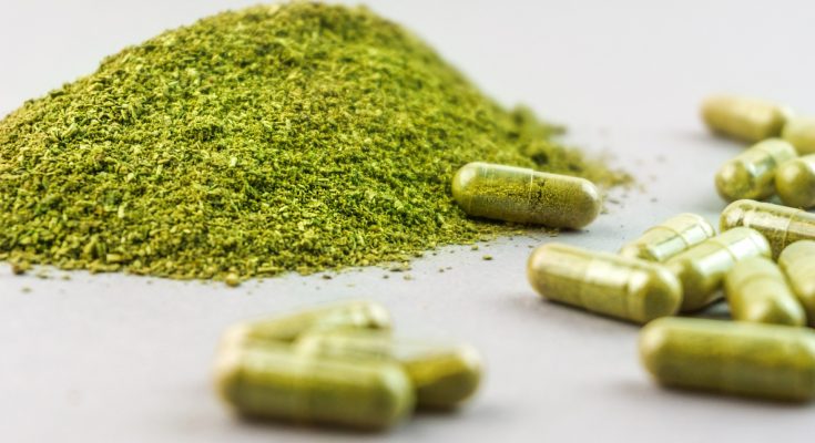 The Future of Kratom Trends, Research, and Predictions