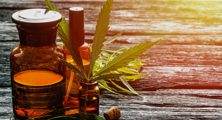 From Hemp to Horizon The Future and Fascination of HHC Oil in the Wellness Sphere