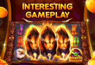Miliarslot77.com: Useful Information for New Users